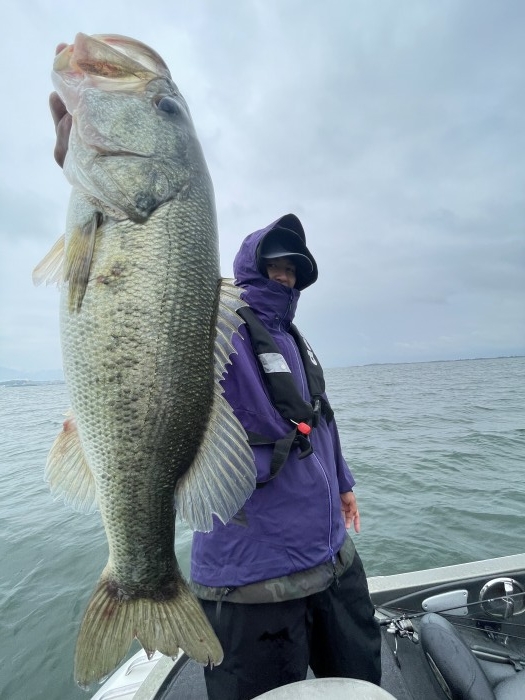 truth  ブログ写真 2021/06/16