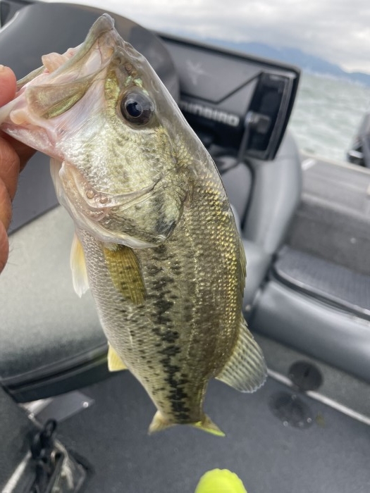 truth  ブログ写真 2021/06/16