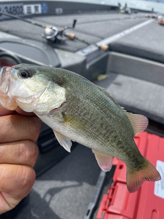 truth  ブログ写真 2021/06/17