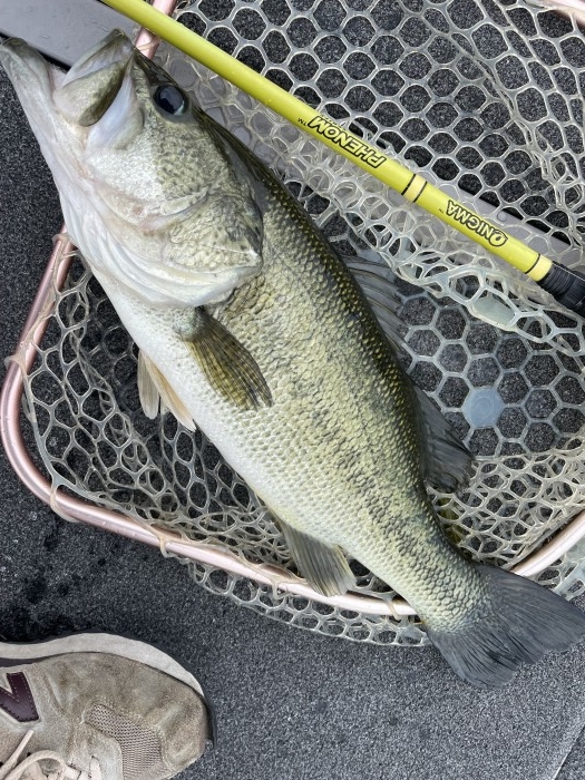 truth  ブログ写真 2021/06/18