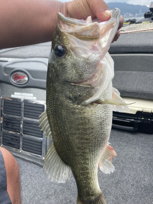 truth  ブログ写真 2021/06/18