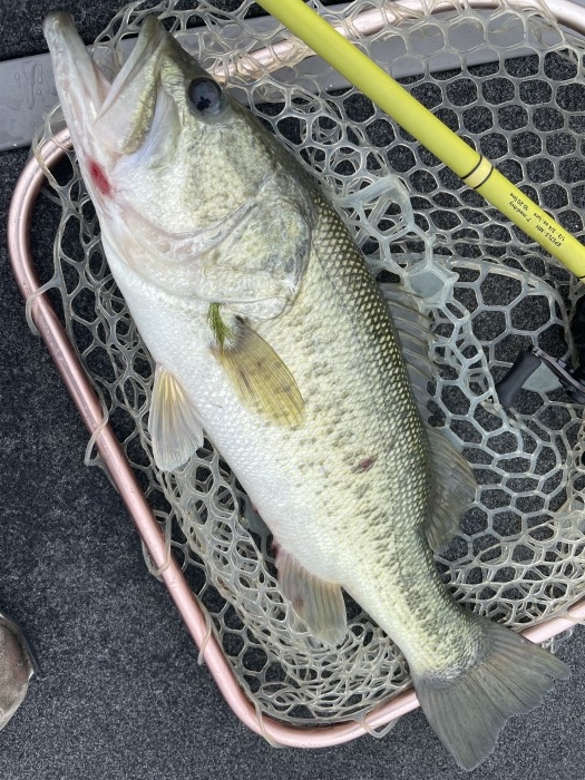 truth  ブログ写真 2021/06/18