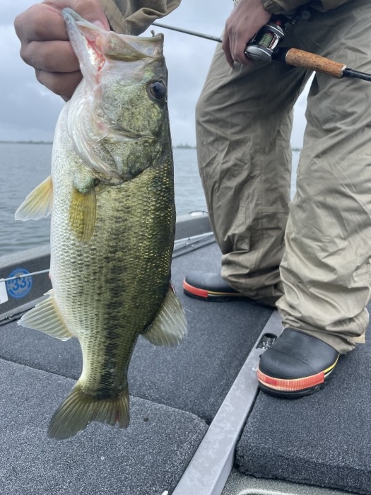 truth  ブログ写真 2021/06/19