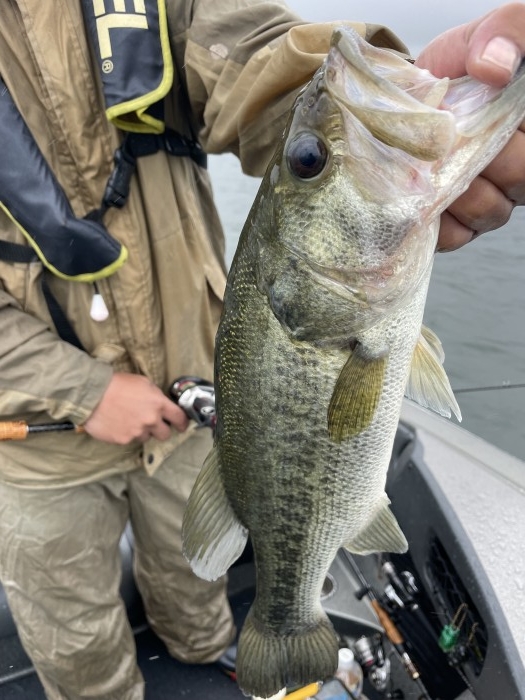 truth  ブログ写真 2021/06/19