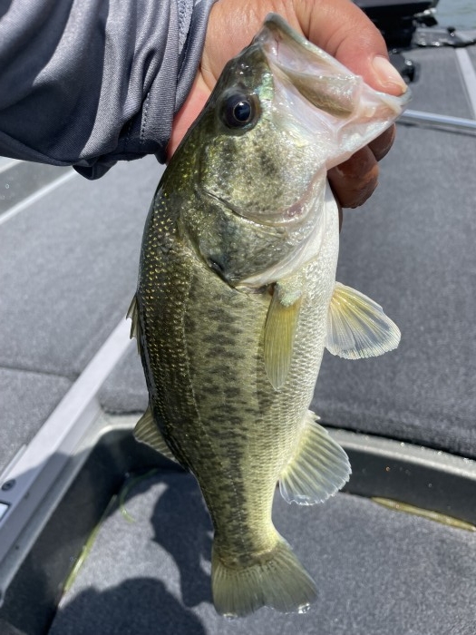 truth  ブログ写真 2021/06/20