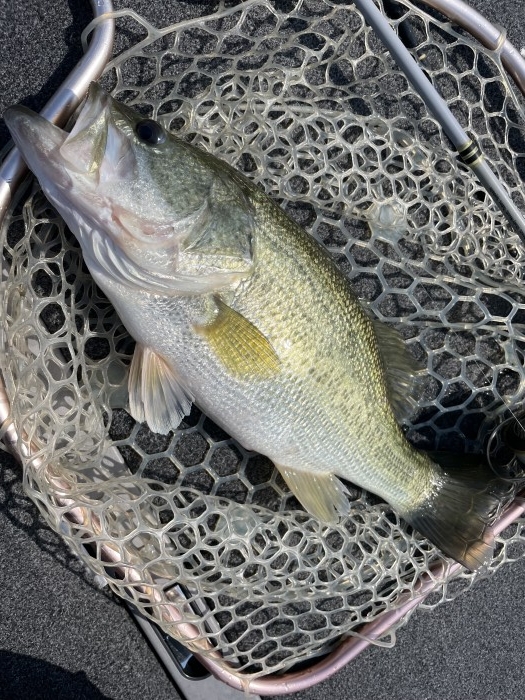 truth  ブログ写真 2021/06/23