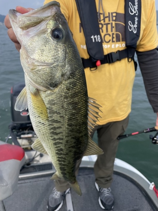 truth  ブログ写真 2021/06/25