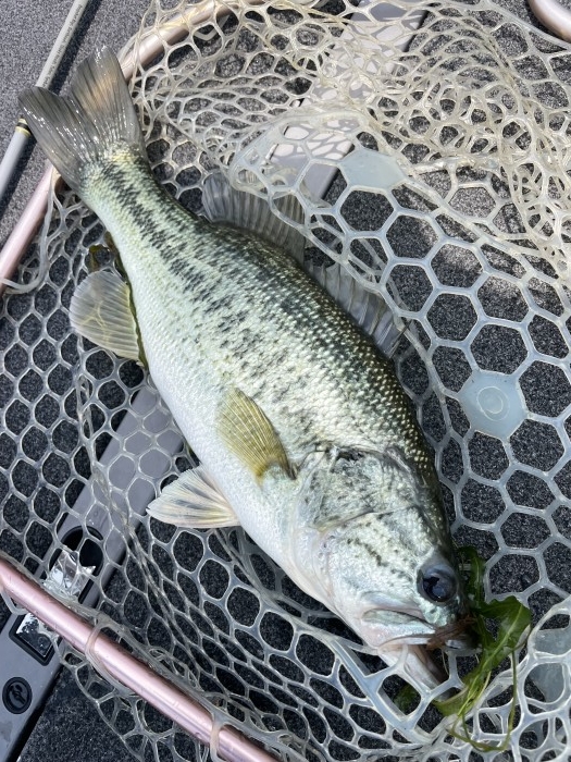 truth  ブログ写真 2021/06/25