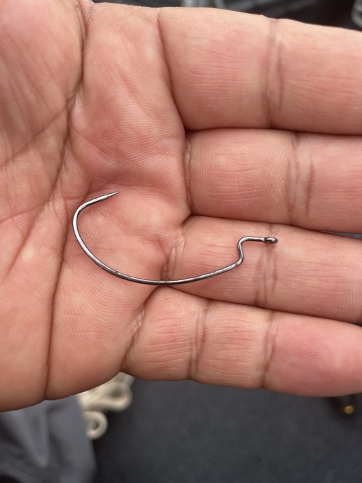 truth  ブログ写真 2021/06/27