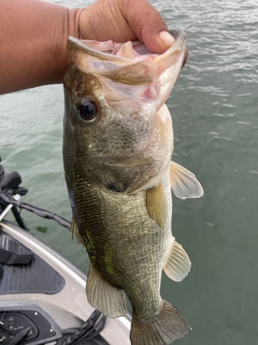 truth  ブログ写真 2021/07/08