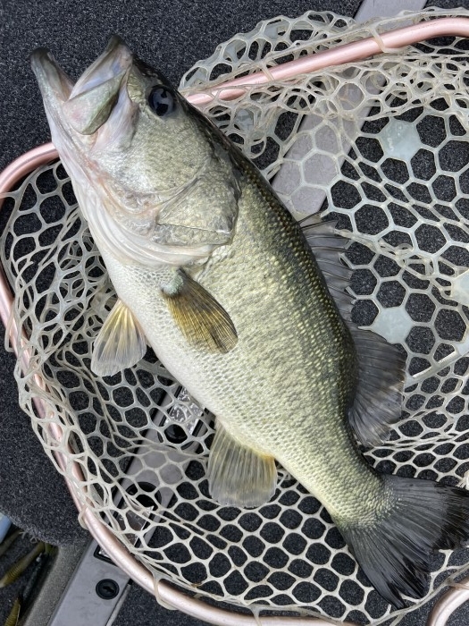 truth  ブログ写真 2021/07/08