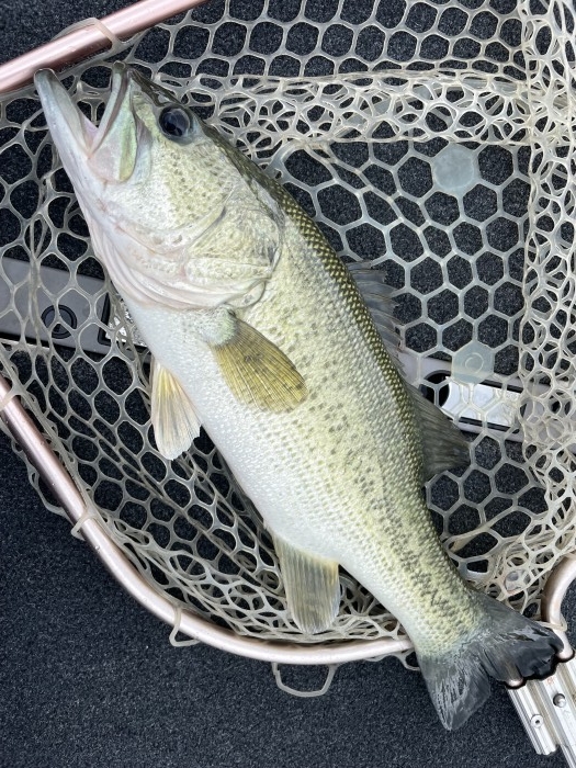 truth  ブログ写真 2021/07/08