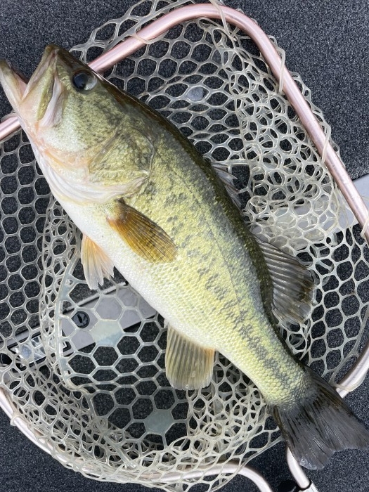 truth  ブログ写真 2021/07/09