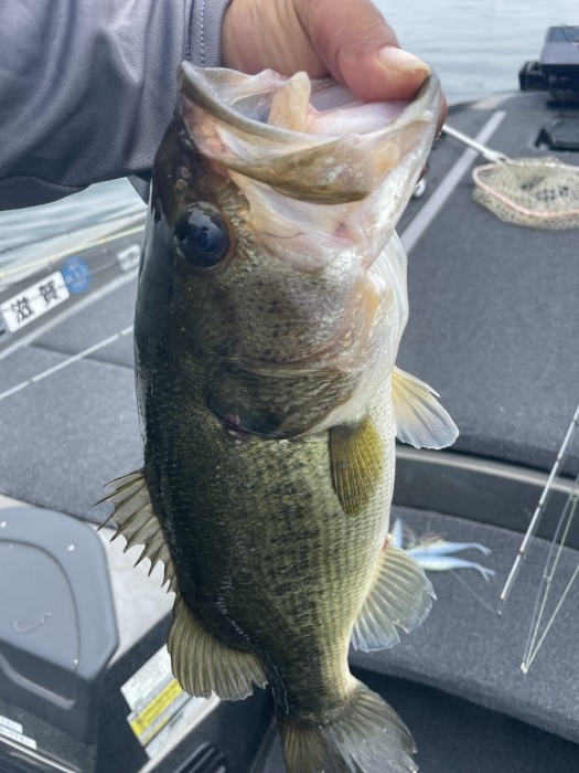 truth  ブログ写真 2021/07/10