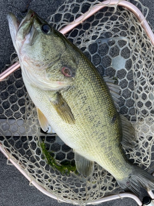 truth  ブログ写真 2021/07/10