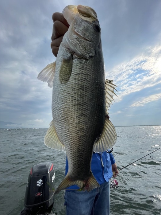 truth  ブログ写真 2021/07/11