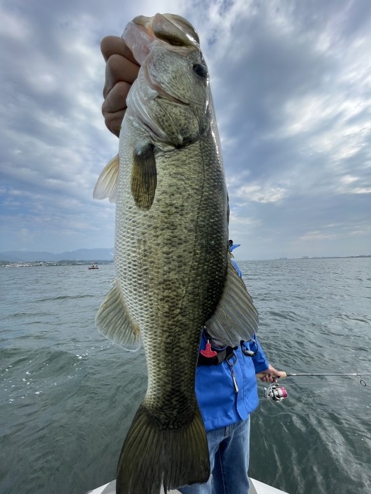 truth  ブログ写真 2021/07/11