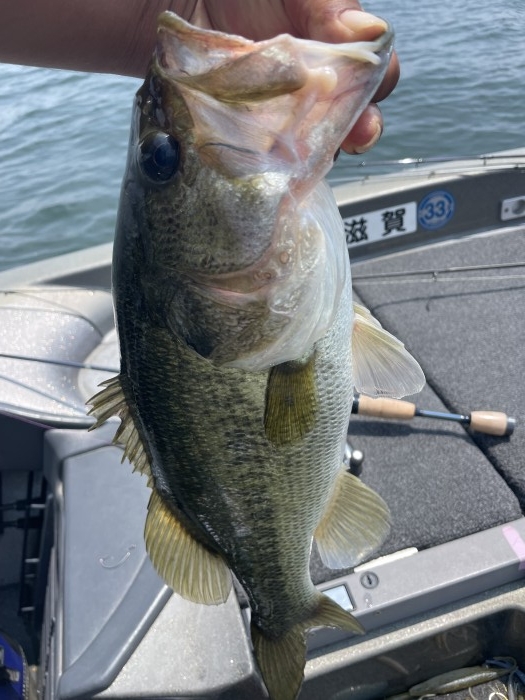 truth  ブログ写真 2021/07/11