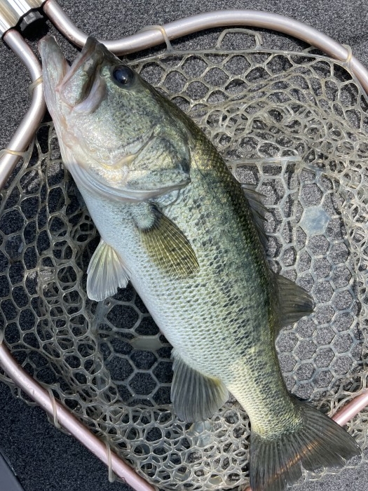 truth  ブログ写真 2021/07/11