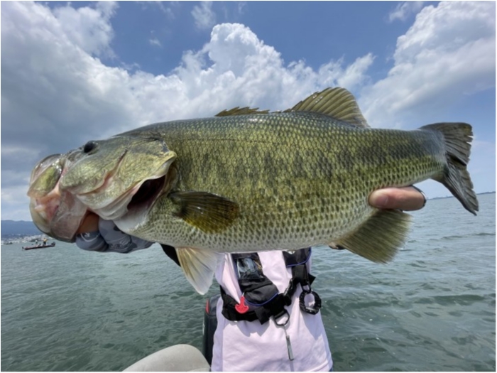 truth  ブログ写真 2021/07/11