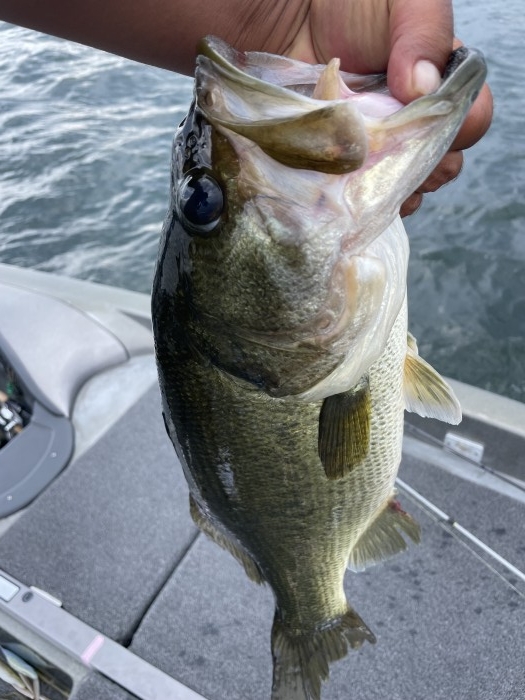 truth  ブログ写真 2021/07/11