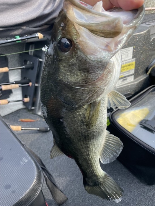 truth  ブログ写真 2021/07/12