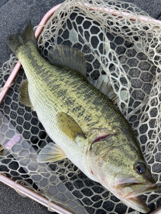 truth  ブログ写真 2021/07/12