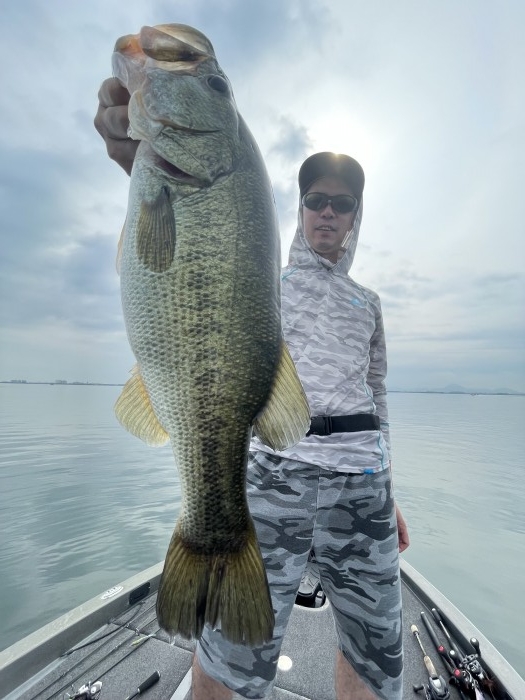 truth  ブログ写真 2021/07/12