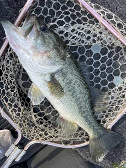 truth  ブログ写真 2021/07/14