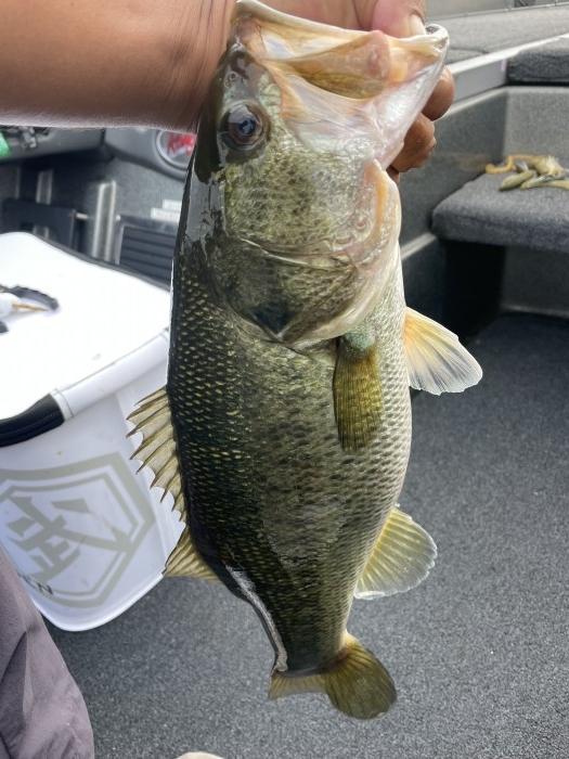 truth  ブログ写真 2021/07/14