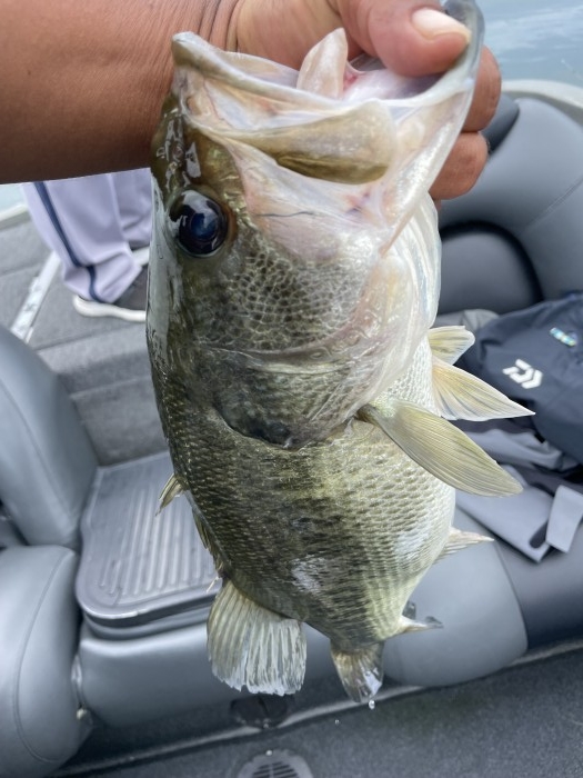 truth  ブログ写真 2021/07/14