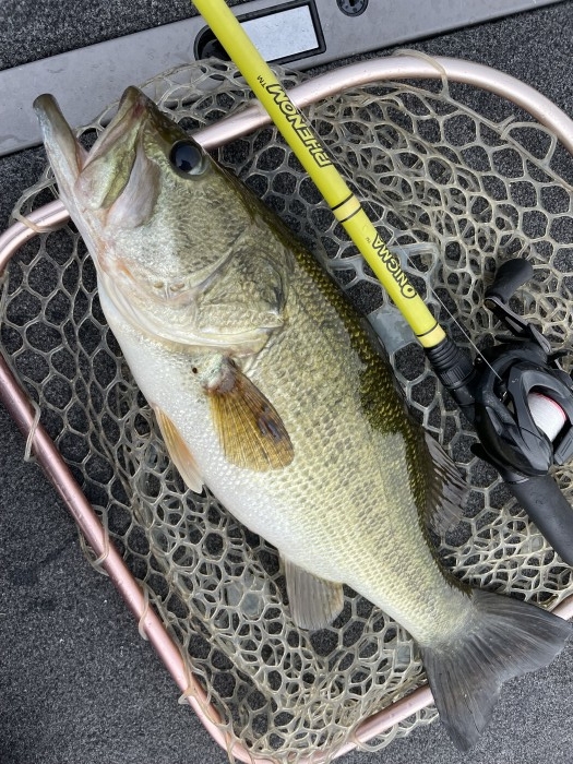 truth  ブログ写真 2021/07/14