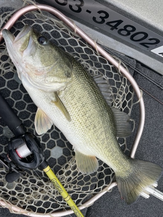 truth  ブログ写真 2021/07/15