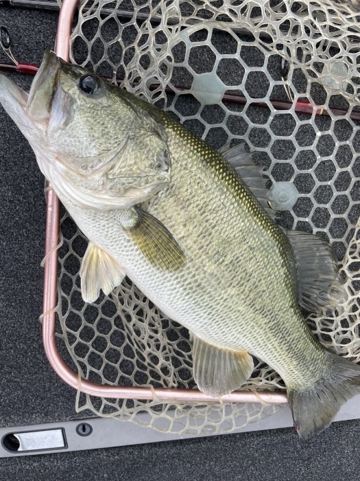 truth  ブログ写真 2021/07/15