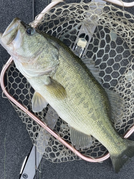 truth  ブログ写真 2021/07/15