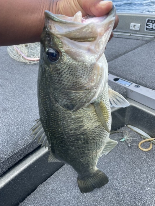 truth  ブログ写真 2021/07/15