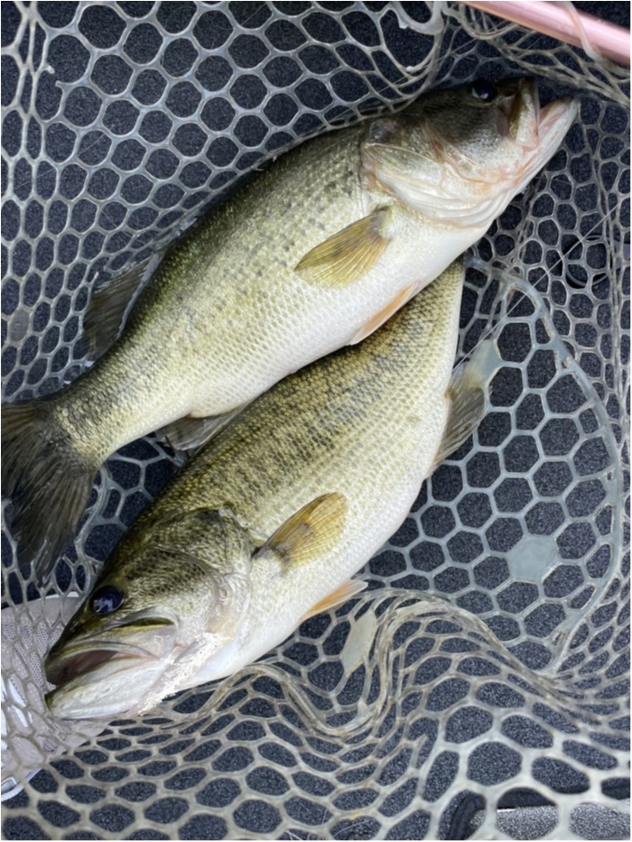 truth  ブログ写真 2021/07/16