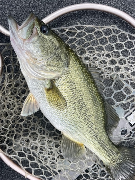 truth  ブログ写真 2021/07/17