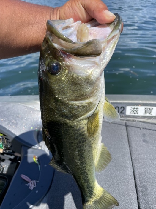 truth  ブログ写真 2021/07/19