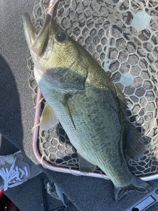 truth  ブログ写真 2021/07/20