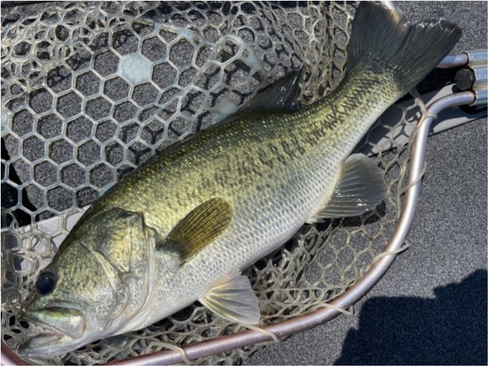 truth  ブログ写真 2021/07/20