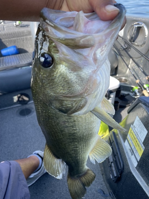 truth  ブログ写真 2021/07/21