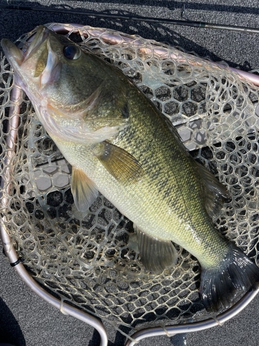 truth  ブログ写真 2021/07/21