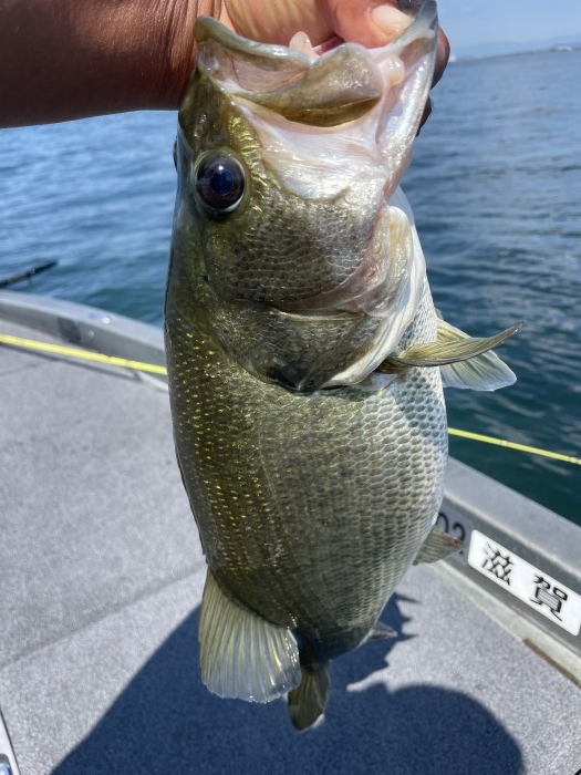 truth  ブログ写真 2021/07/21