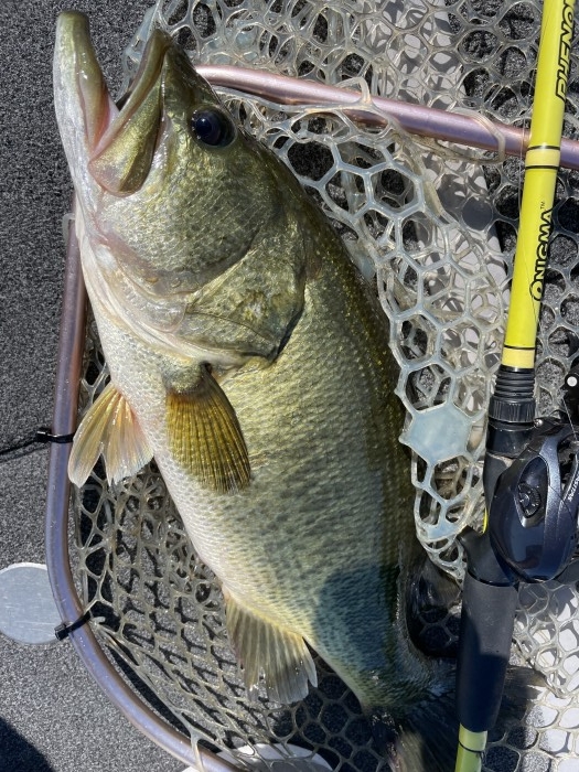 truth  ブログ写真 2021/07/21