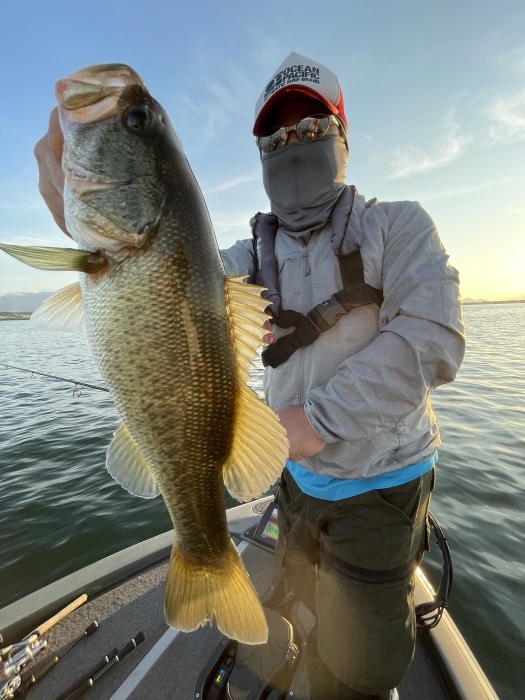 truth  ブログ写真 2021/07/22