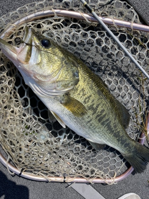 truth  ブログ写真 2021/07/22