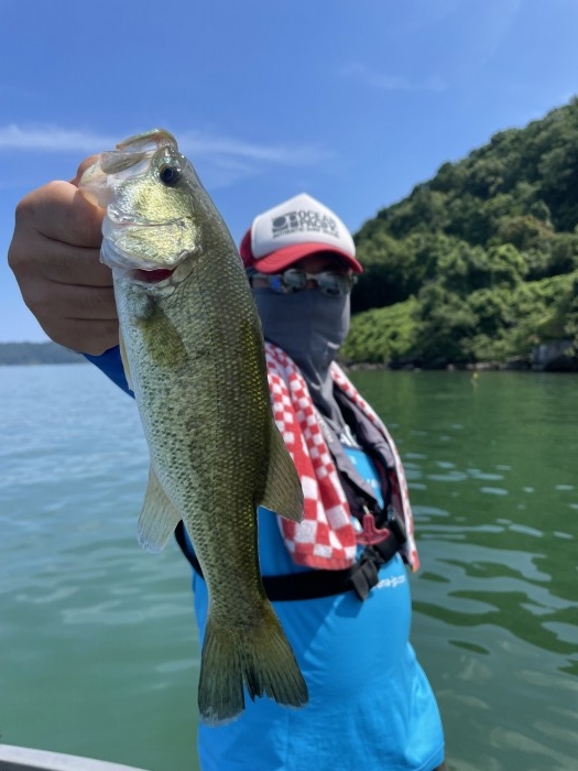 truth  ブログ写真 2021/07/22