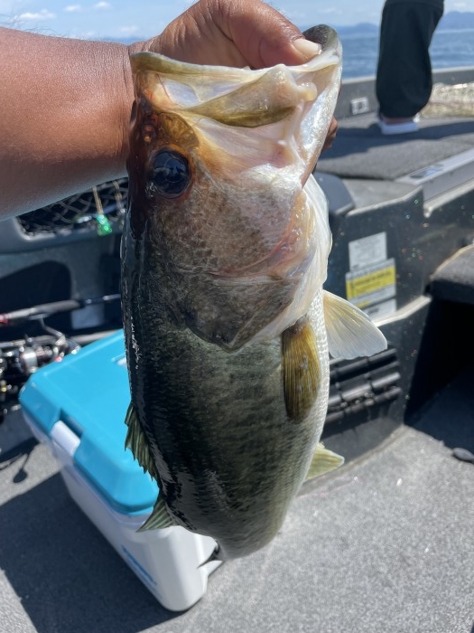 truth  ブログ写真 2021/07/22