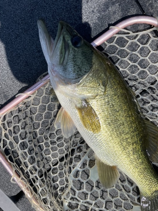 truth  ブログ写真 2021/07/22